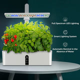 Hydroponics Growing System - LED Grow Lights - White