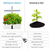 Hydroponics Growing System - LED Grow Lights - White
