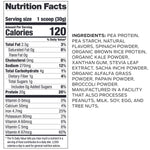 Vegan Protein Powder - Vanilla - 25 Servings