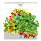 Hydroponics Growing System - LED Grow Lights