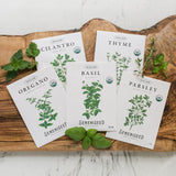 Organic Herb Seeds - 10 Pack